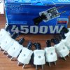 Phích chịu tải 4500W
